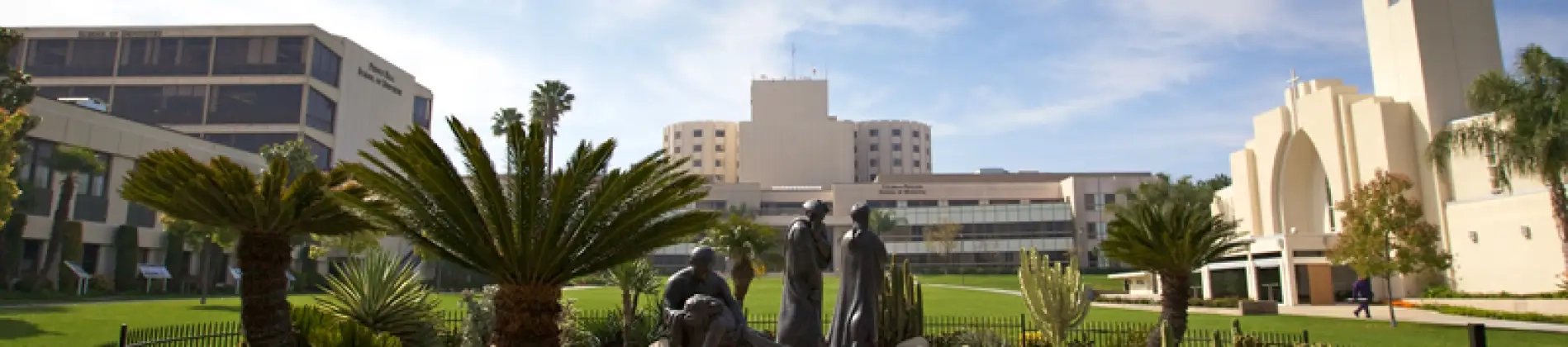 Diagnostic Medical Sonography (Cardiac Sonography)